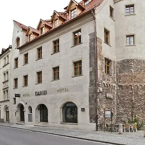 Hotel David An Der Donau